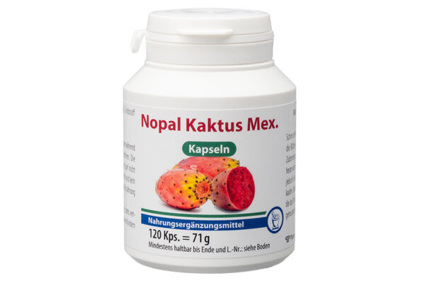 Nopal Kaktus Mex.